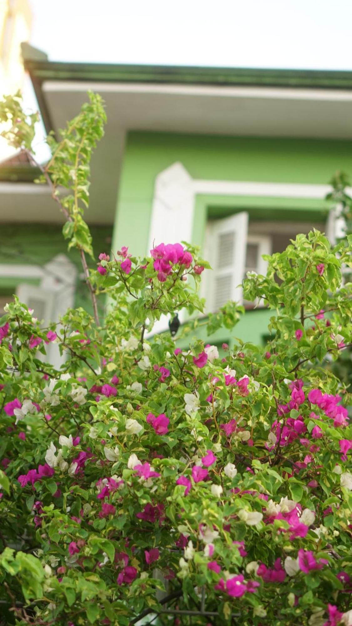Poa Eco Hostel Πόρτο Αλέγκρε Εξωτερικό φωτογραφία
