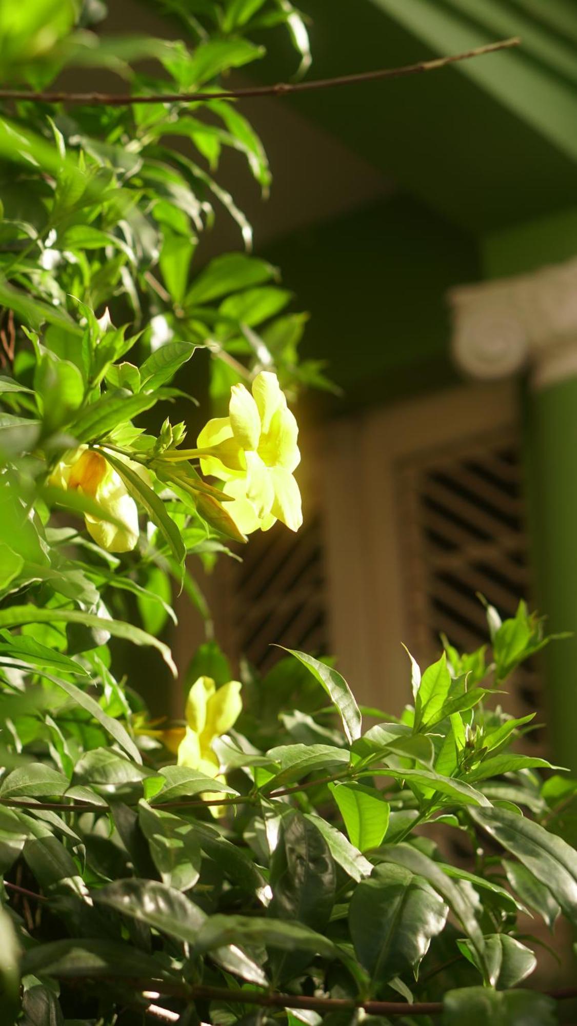 Poa Eco Hostel Πόρτο Αλέγκρε Εξωτερικό φωτογραφία
