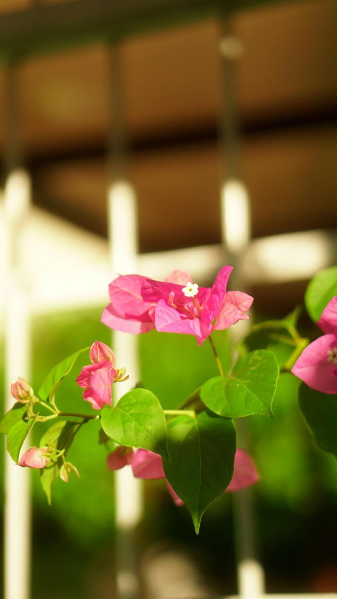 Poa Eco Hostel Πόρτο Αλέγκρε Εξωτερικό φωτογραφία
