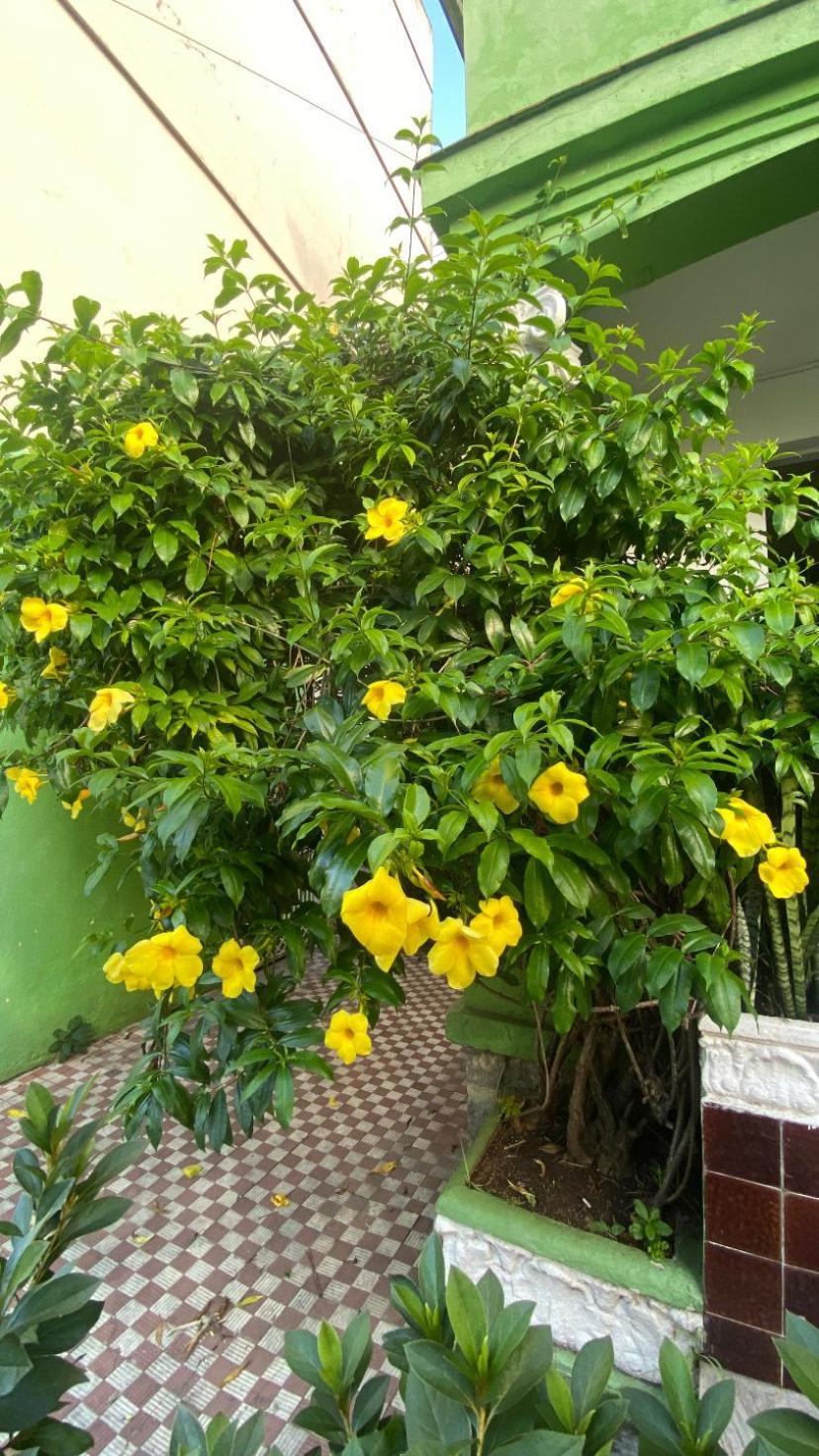 Poa Eco Hostel Πόρτο Αλέγκρε Εξωτερικό φωτογραφία