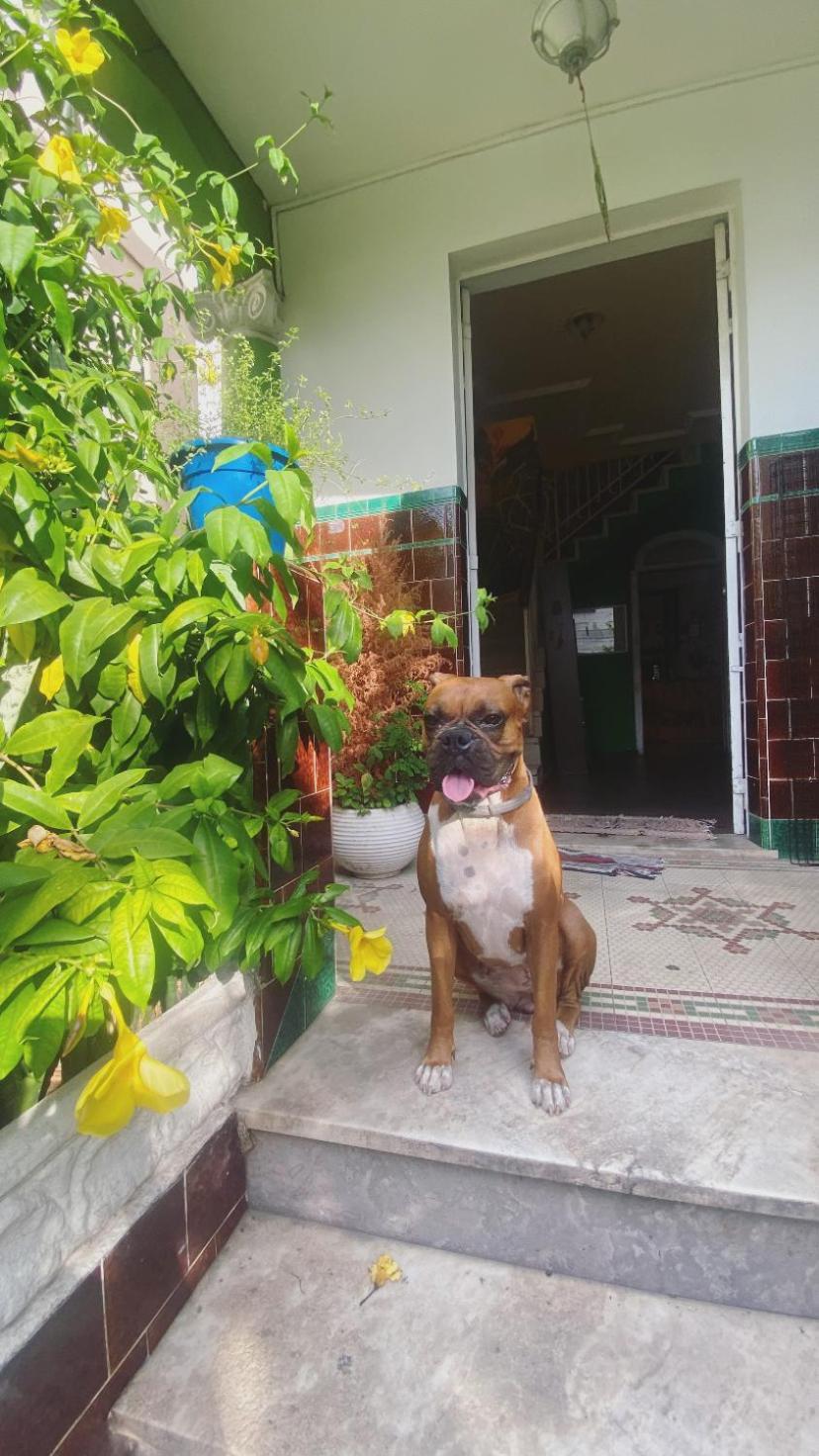 Poa Eco Hostel Πόρτο Αλέγκρε Εξωτερικό φωτογραφία
